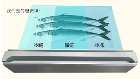 QQ截圖20210412092752