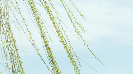 QQ截圖20210319100404